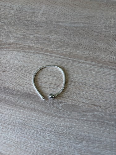 Pandora moments armband - moments,