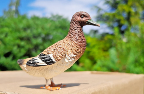 Vogel ente federvieh masse - vogel,