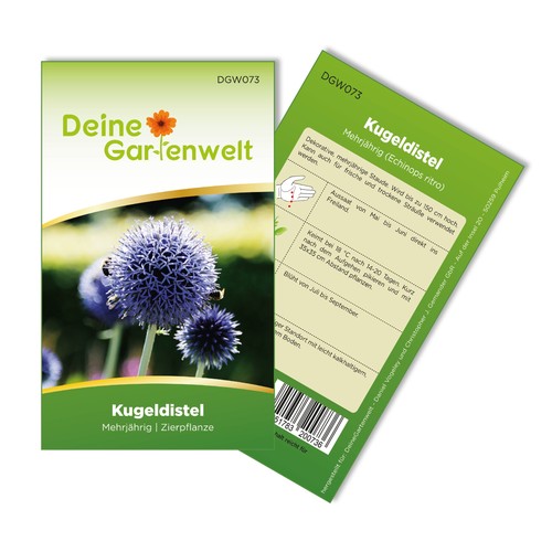 Kugeldistel samen echinops - -,