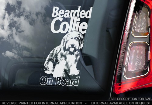 Bearded collie auto fenster - collie,