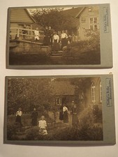 Hanover - Linden - Men Women