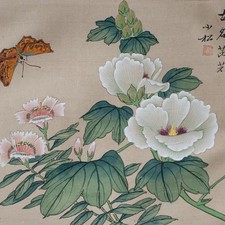 Pfingstrose und Schmetterling