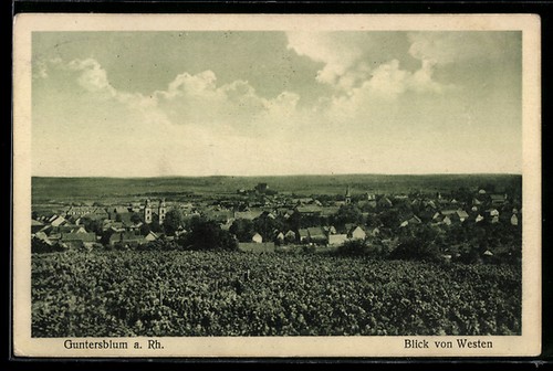 Guntersblum blick auf - guntersblum,