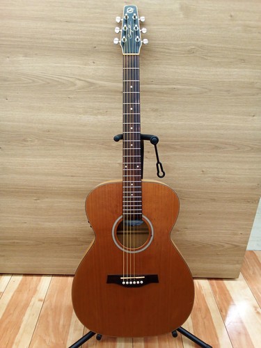 Seagull akustikgitarre - akustikgitarre, s6