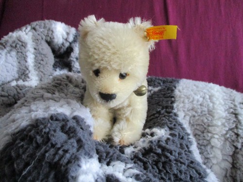 Steiff 031212 eisbär - steiff,