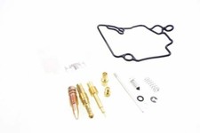 Vergaser Reparatur Satz mit