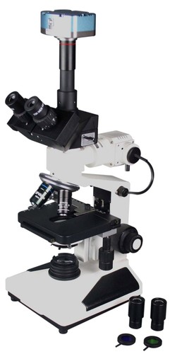Radical 2000x top bottom light - radical,