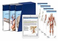 Prometheus lernpaket anatomie - lernpaket,