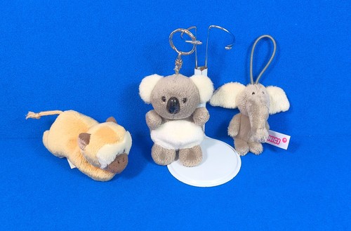 Nici affe elefant - nici, koala
