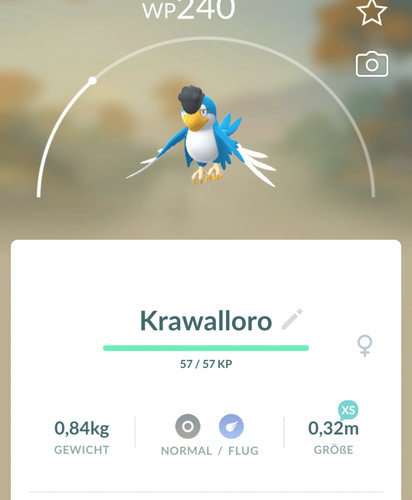 Pokemon krawalloro blau - 👻pokemon,