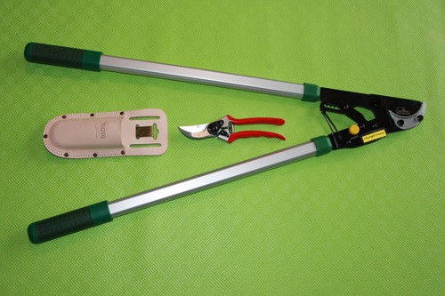 Felco bumschere - bumschere, +