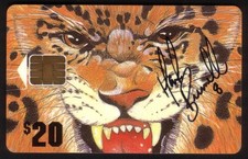 Jacksonville Jaguars Fußball