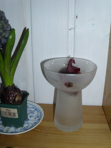 Ikea hyazinthenvase - ikea,