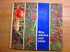Sammelalbum Was wächst und blüht von Birkel-Nudel-Werke 1963, Sammelbilder