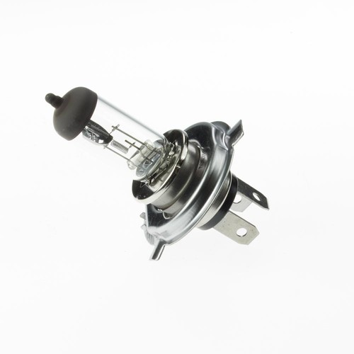 Spahn glühlampe 12v 100 - glühlampe,