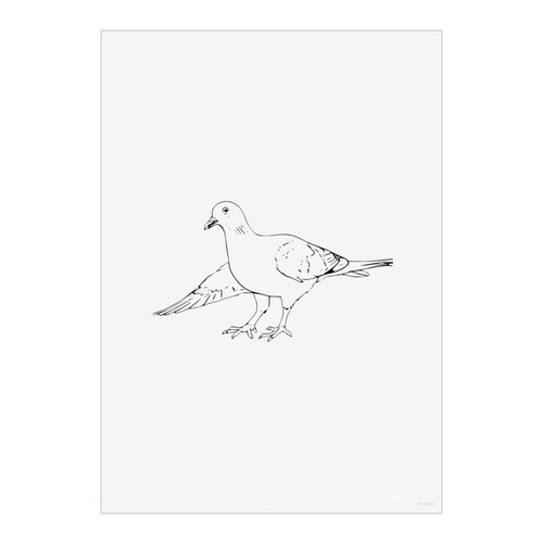Bowing pigeon wall - 'bowing,