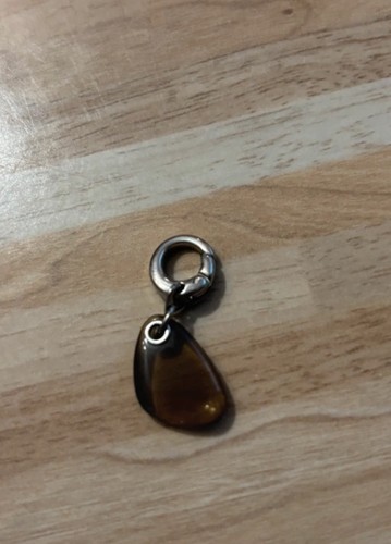 Fossil charm - fossil,