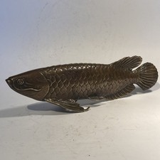 Glücklicher arowana fisch - glücklicher,