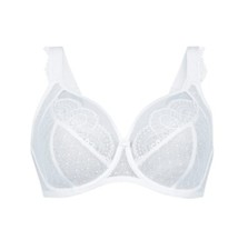 BH Rosa Faia Anita *SALE*