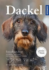 Dackel | Praxiswissen Hund