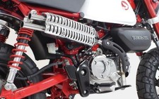 Takegawa Auspuff für Honda Monkey Z125 Scrambler Look JB03 JB05 04-02-0014