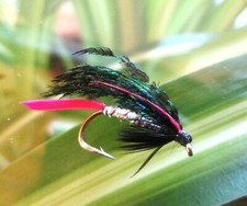 Gilchrist Fliegen. 3 x