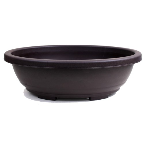 Bonsai schale oval x - schale,