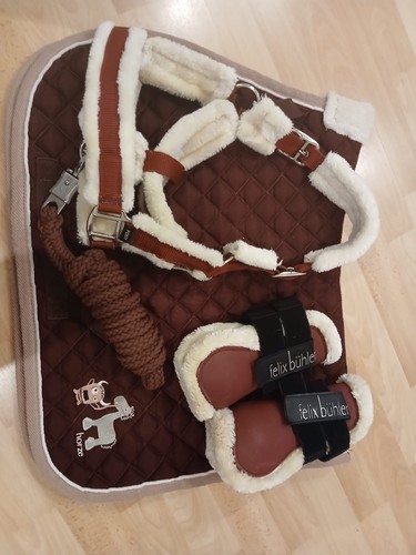 Reitset aus halfter mit - reitset,