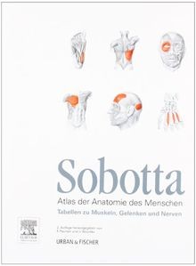 Sobotta tabellen muskeln - tabellen, zu