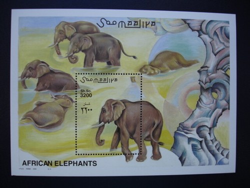 Somalia 2000 elefanten - 2000,