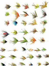 Fliegenfischen gemischtes