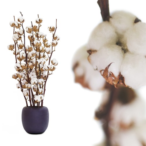 Echte baumwolle 70cm blüten - 70cm, 5+blüten