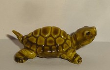 LANDSCHILDKRÖTE *Kennung