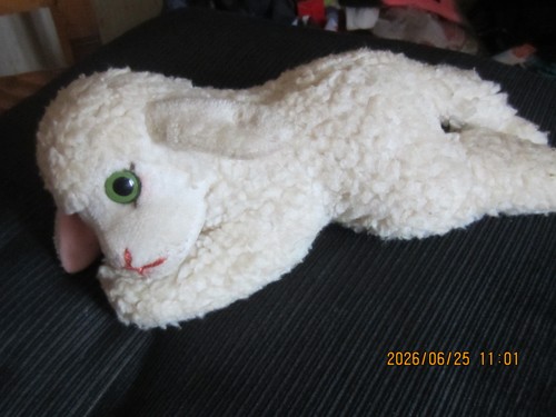 Steiff schaf lamm - lamm,