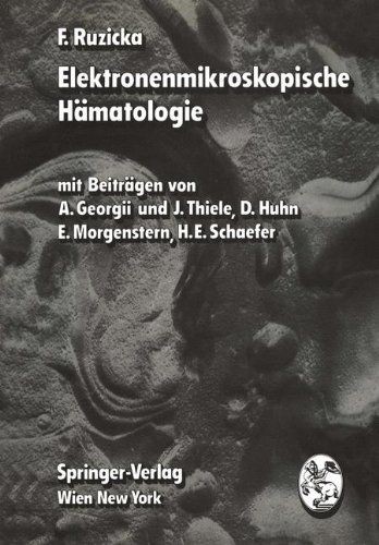 Elektronenmikroskopische