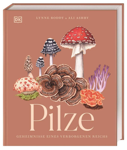 Pilze ali ashby - pilze,