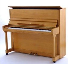 Bechstein / Euterpe Klavier 121 Buche (IJND1041), 2004 neu gekauft!