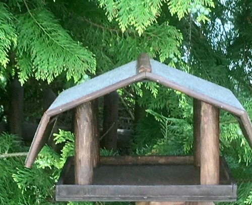 Vogel und futterhaus - und, groß