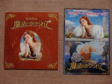 Verzauberte Idina Menzel Amy