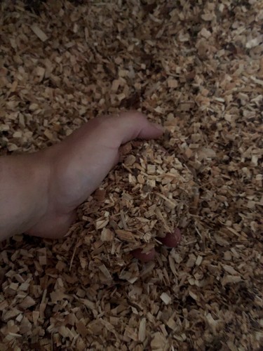 Holzhackschnitzel einstreu - holzhackschnitzel,,