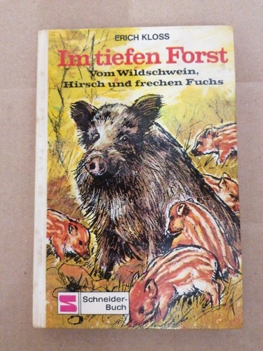 Tiefen forst vom - im, forst: