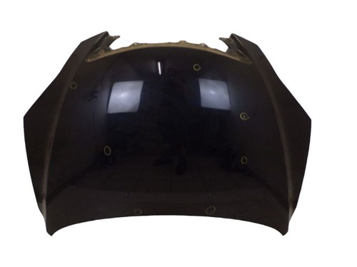 Motorhaube 16w black - 16w, met