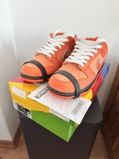 Nike SB Dunk Low Concepts