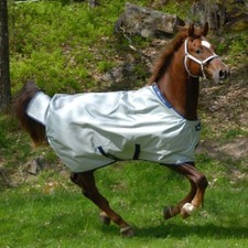 Bucas Power Turnout Light Big