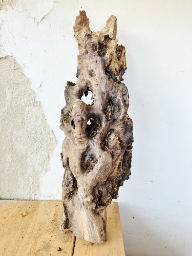 Olivenholz olive zum - olivenholz,,