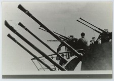 REPRO Foto Vierling und