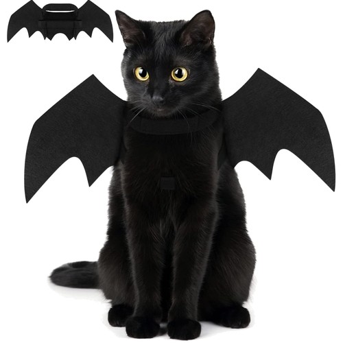 Fledermaus kostüm hund - fledermaus, katze