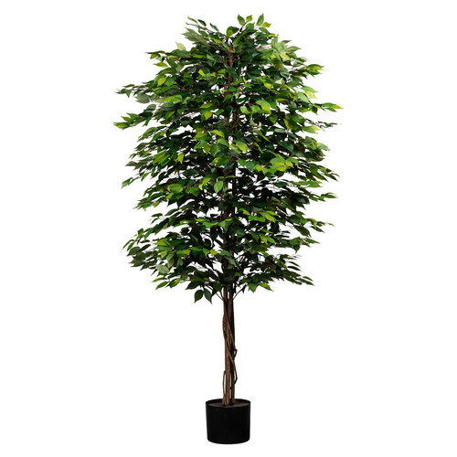 Künstliche birkenfeige ficus - künstliche, 'ficus