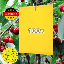 100x Gelbtafeln Gelbsticker Gelbtafel Falle Insektenfalle Trauermücken Kleber