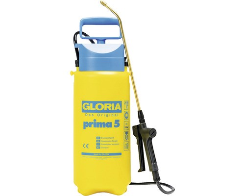 Gloria prima - gloria,